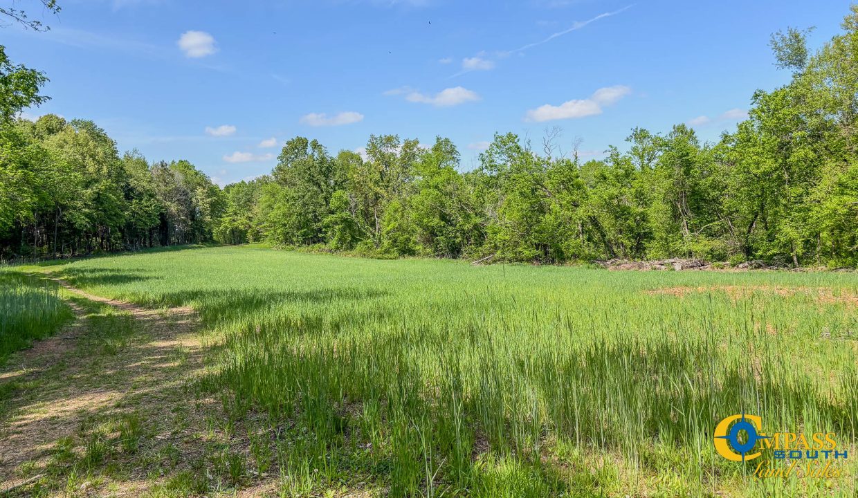 Red River Ridge 7 TN Land for Sale-16