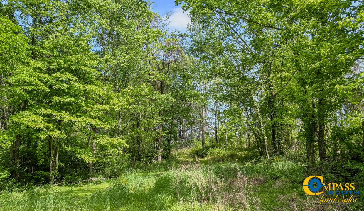 Red River Ridge 7 TN Land for Sale-17