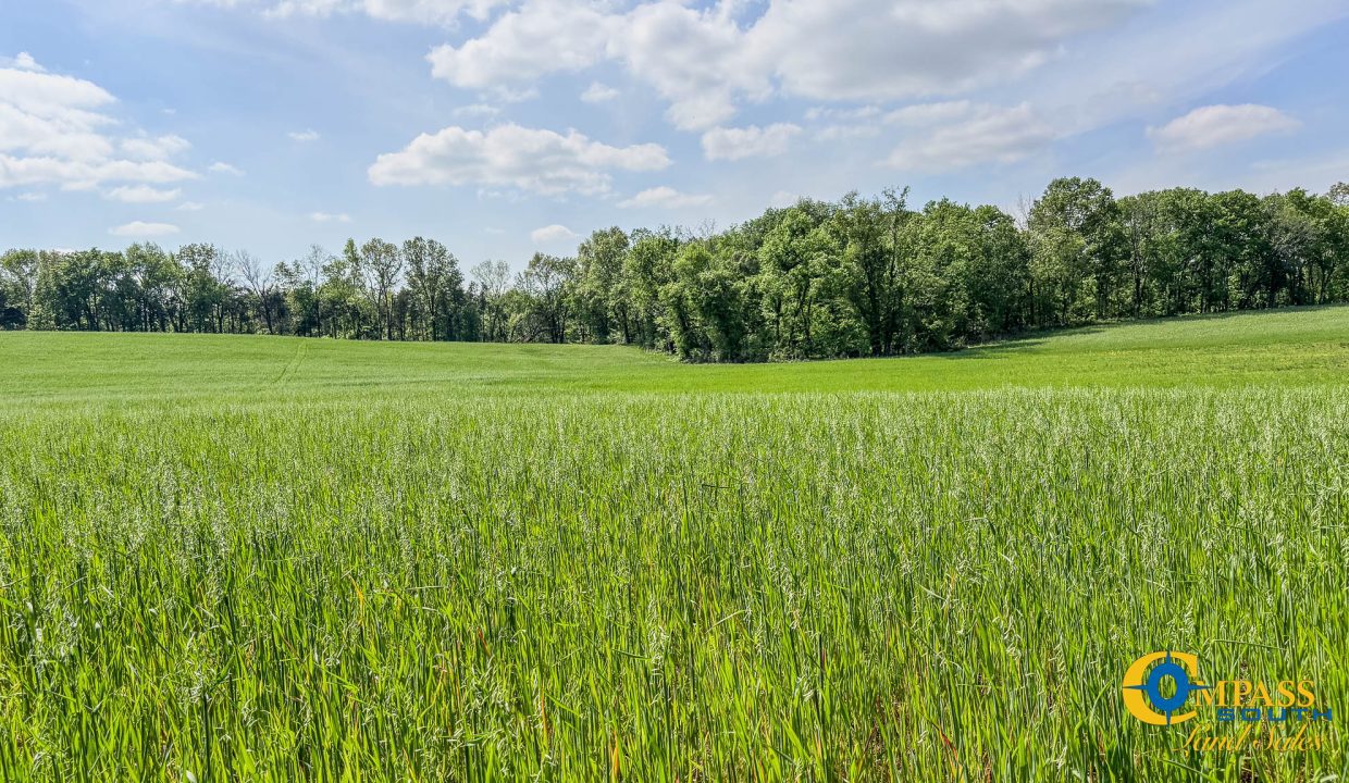 Red River Ridge 7 TN Land for Sale-24