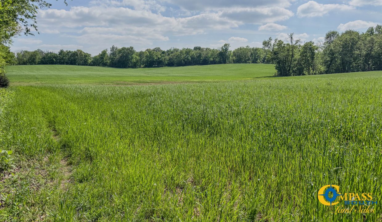 Red River Ridge 7 TN Land for Sale-25