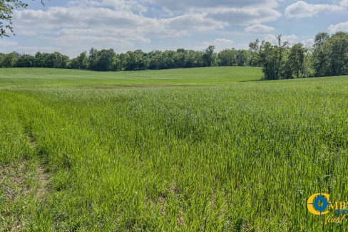 Red River Ridge 7 TN Land for Sale-25