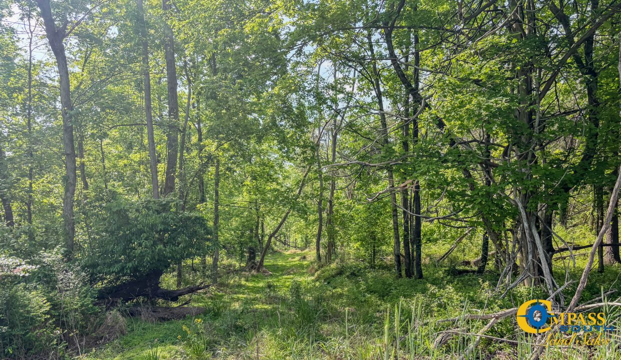 Red River Ridge 8 Land for Sale in Tennessee-01