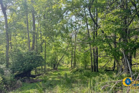 Red River Ridge 8 Land for Sale in Tennessee-01