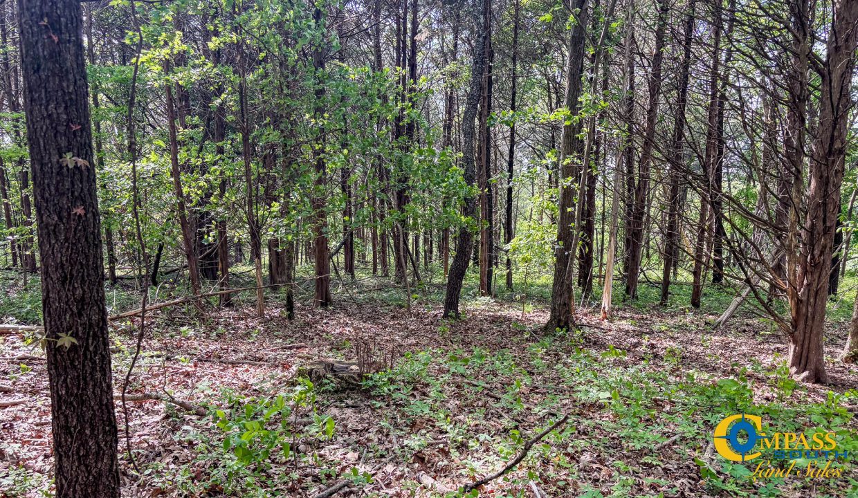 Red River Ridge 8 Land for Sale in Tennessee-02