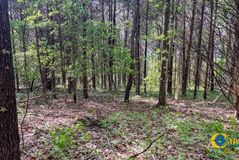 Red River Ridge 8 Land for Sale in Tennessee-02