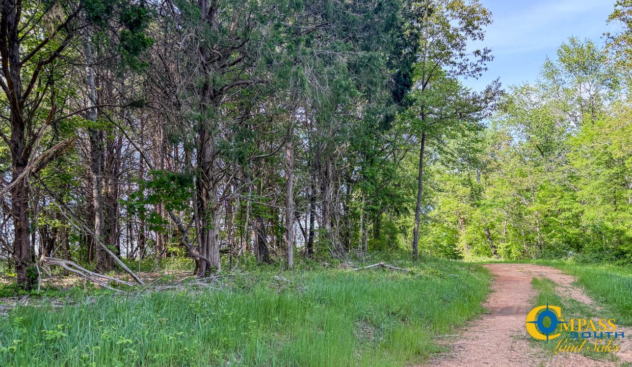Red River Ridge 8 Land for Sale in Tennessee-03