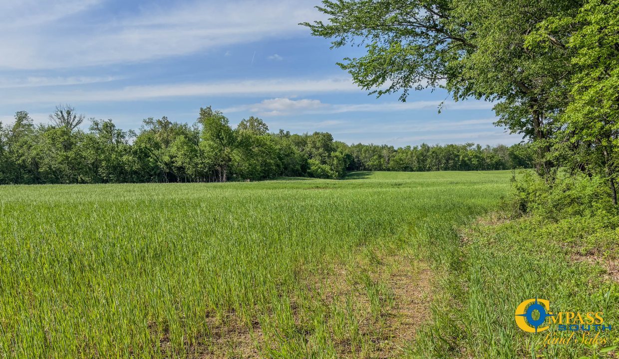 Red River Ridge 8 Land for Sale in Tennessee-04
