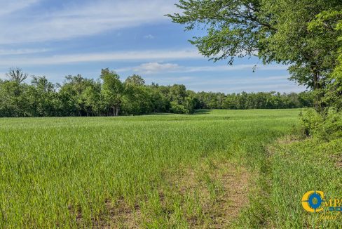 Red River Ridge 8 Land for Sale in Tennessee-04