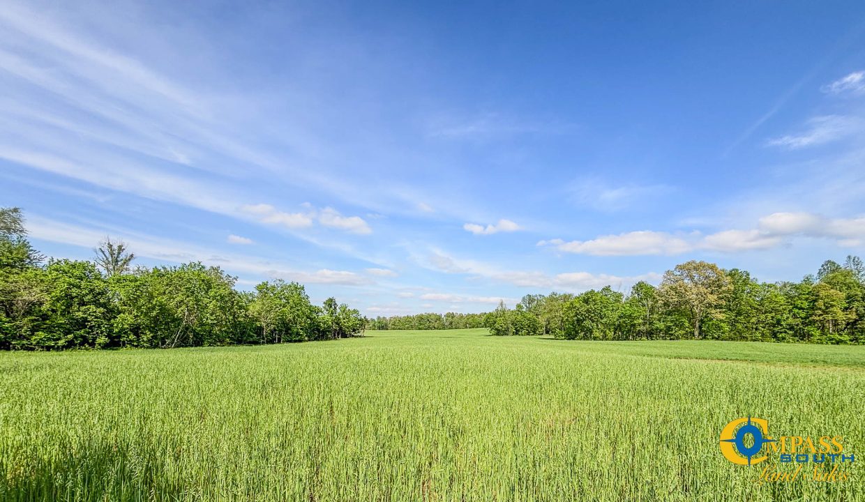 Red River Ridge 8 Land for Sale in Tennessee-05
