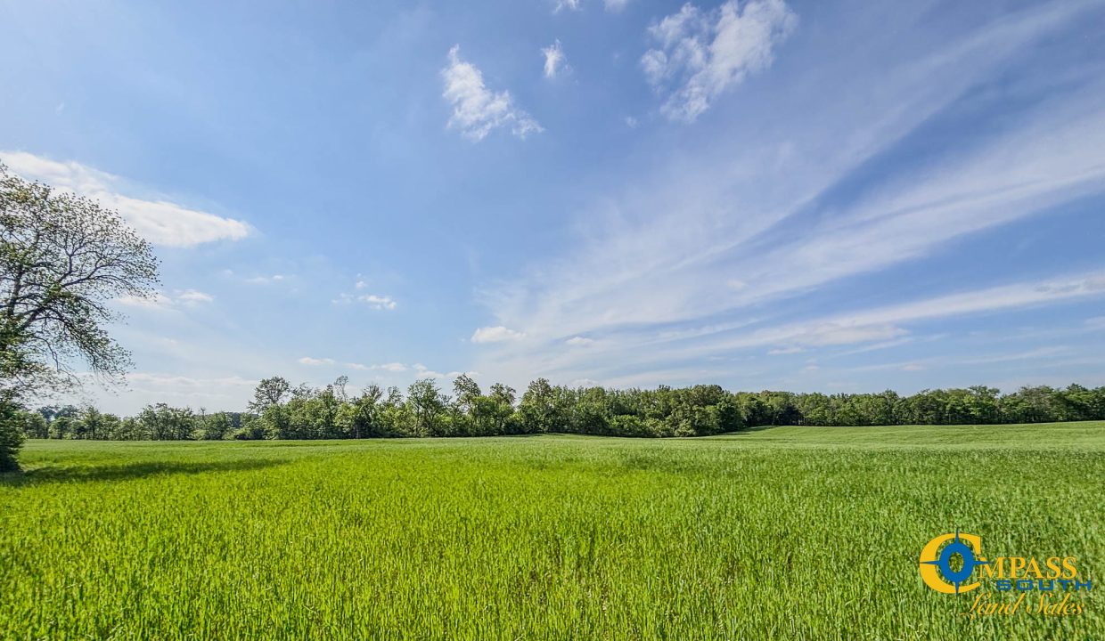 Red River Ridge 8 Land for Sale in Tennessee-07