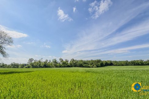 Red River Ridge 8 Land for Sale in Tennessee-07