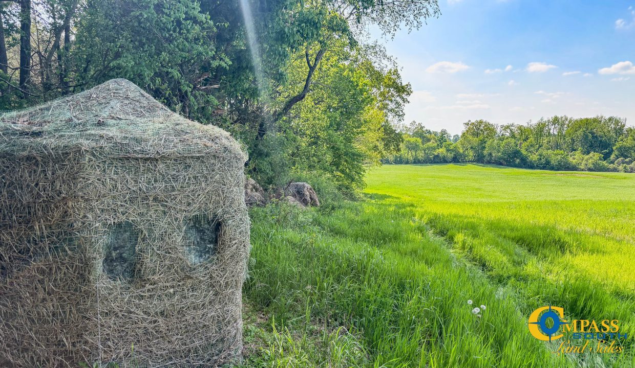 Red River Ridge 8 Land for Sale in Tennessee-09
