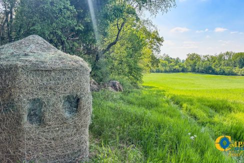 Red River Ridge 8 Land for Sale in Tennessee-09