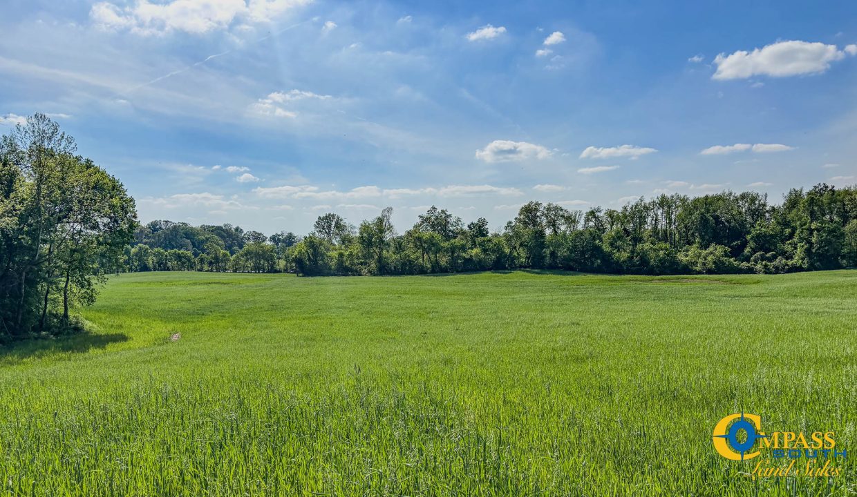 Red River Ridge 8 Land for Sale in Tennessee-10