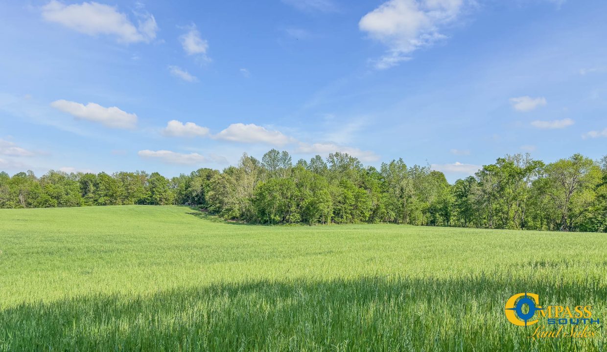 Red River Ridge 8 Land for Sale in Tennessee-11