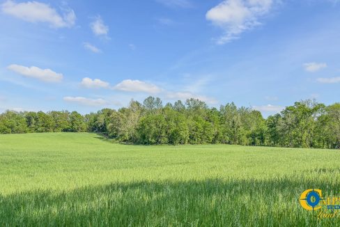 Red River Ridge 8 Land for Sale in Tennessee-11
