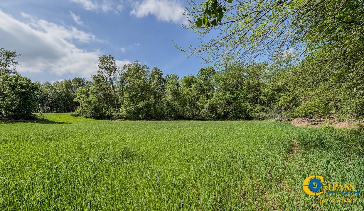 Red River Ridge 9 Land for Sale in Tennessee-11