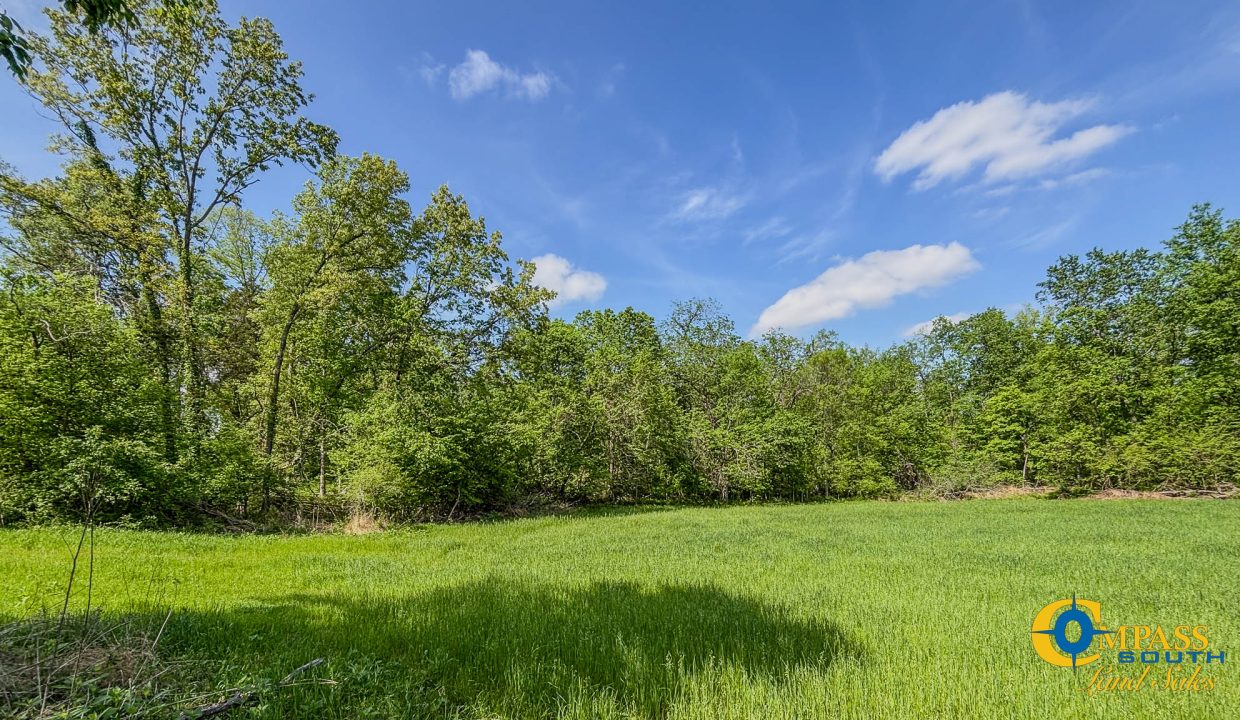 Red River Ridge 9 Land for Sale in Tennessee-12