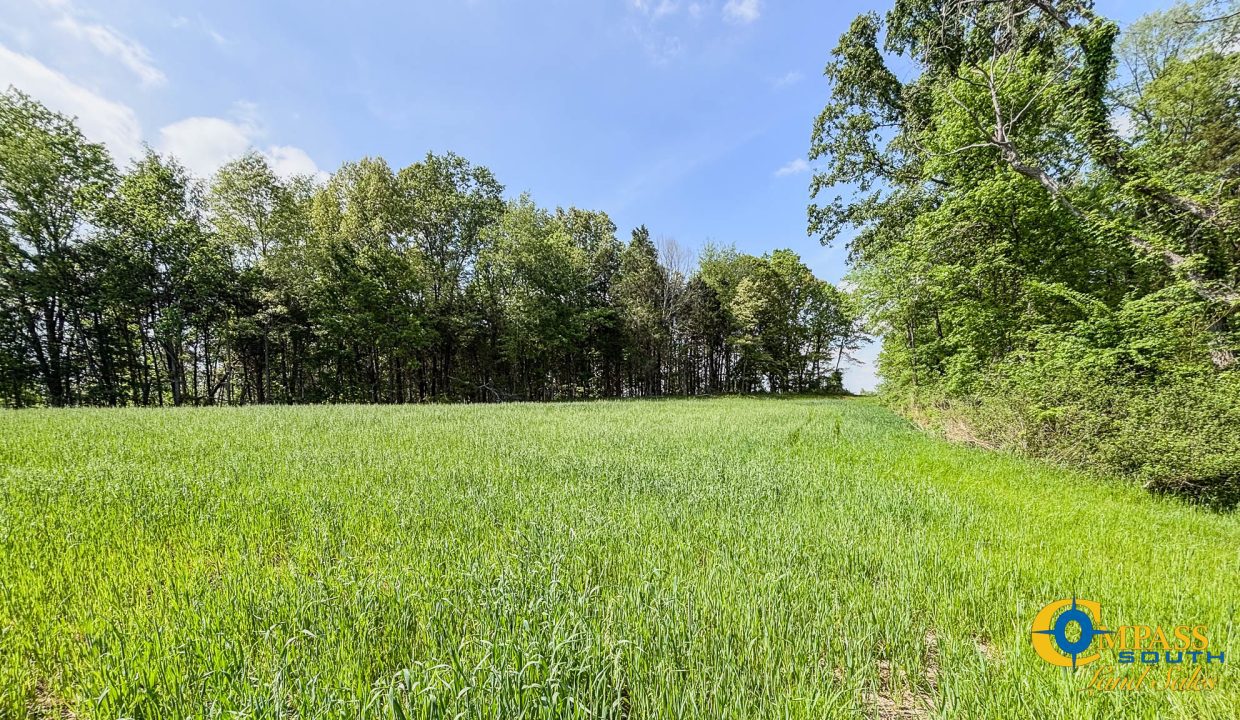 Red River Ridge 9 Land for Sale in Tennessee-13