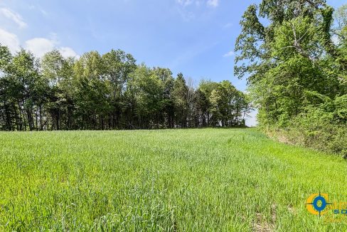 Red River Ridge 9 Land for Sale in Tennessee-13