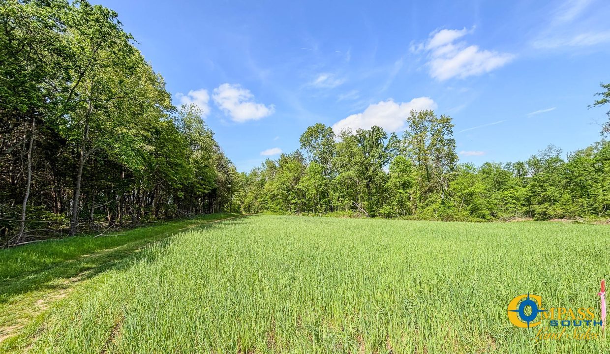 Red River Ridge 9 Land for Sale in Tennessee-14