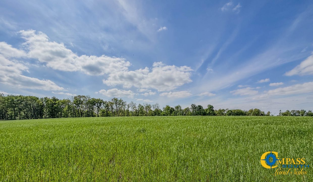 Red River Ridge 9 Land for Sale in Tennessee-15