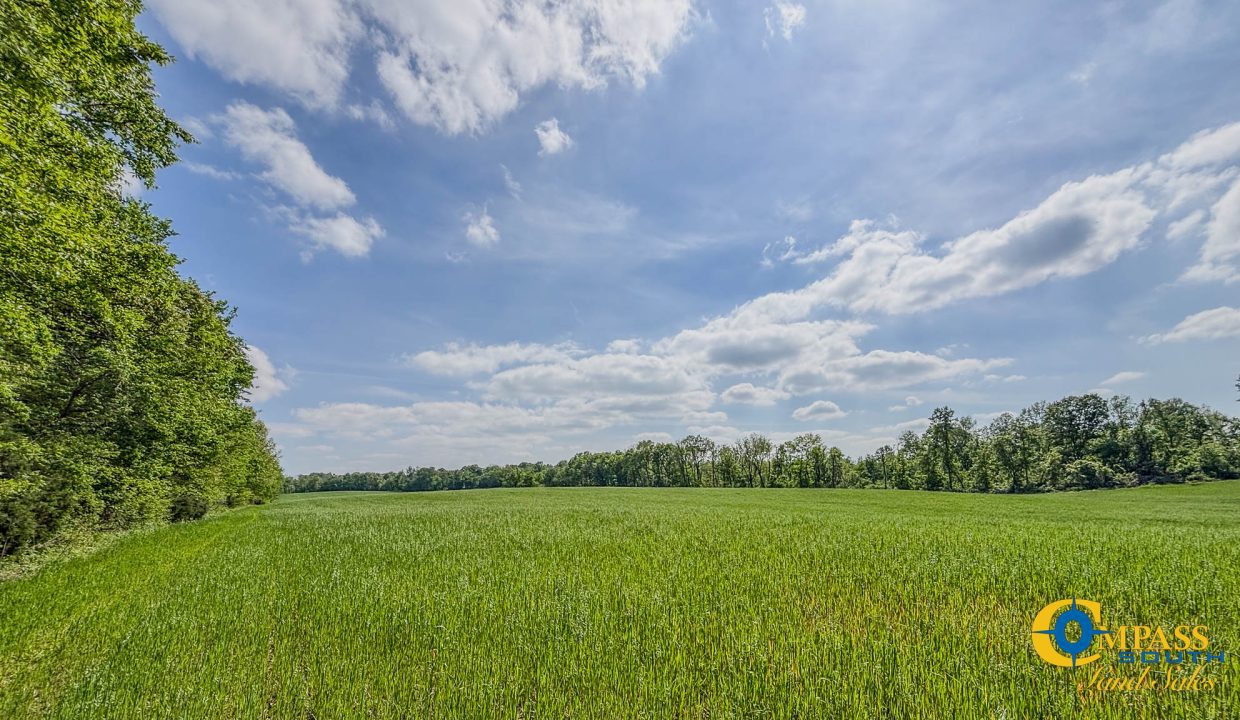 Red River Ridge 9 Land for Sale in Tennessee-16
