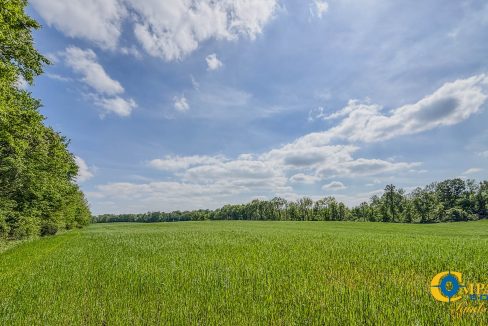 Red River Ridge 9 Land for Sale in Tennessee-16