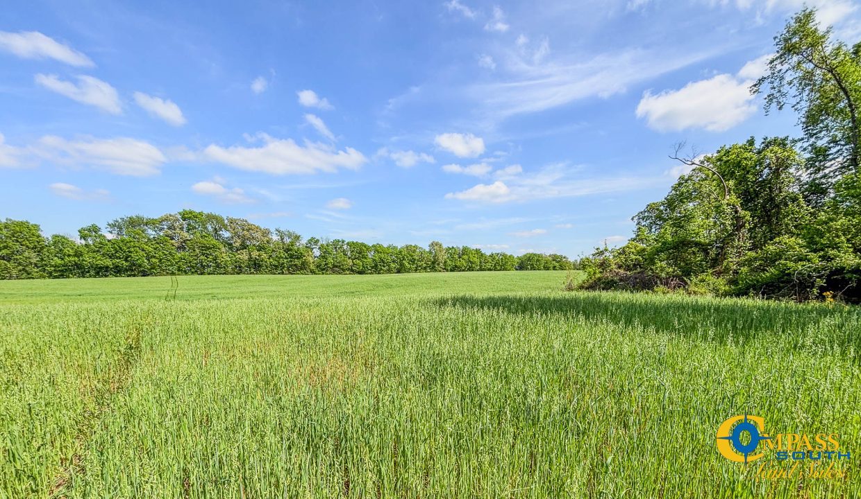 Red River Ridge 9 Land for Sale in Tennessee-17
