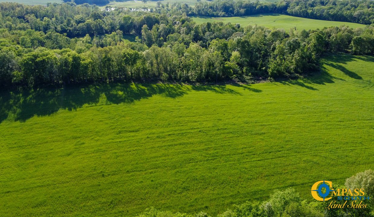 Red River Ridge 9 Land for Sale in Tennessee