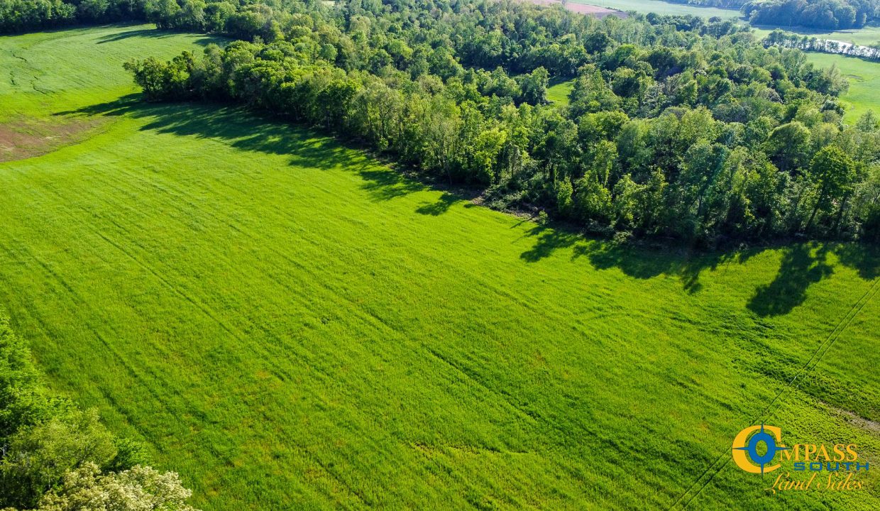 Red River Ridge 9 Land for Sale in Tennessee