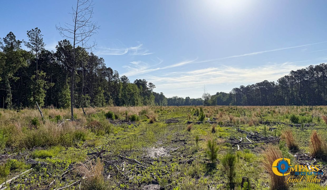 Salkehatchie Tract SC Land for Sale-7