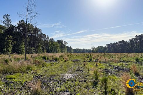 Salkehatchie Tract SC Land for Sale-7