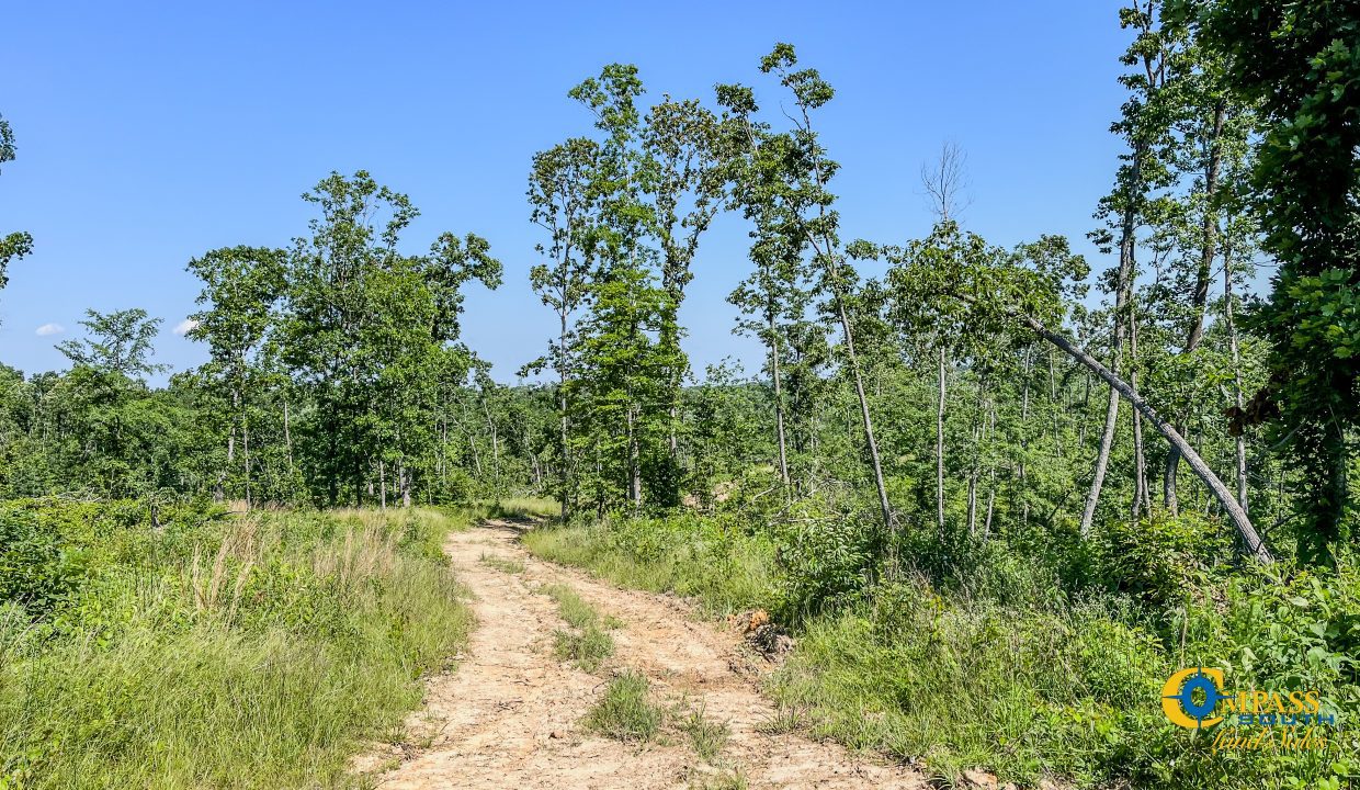Waverly Tract TN Land for Sale-4