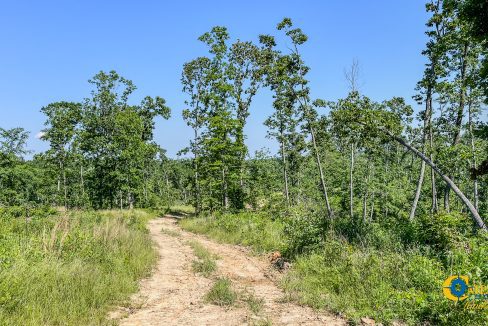 Waverly Tract TN Land for Sale-4