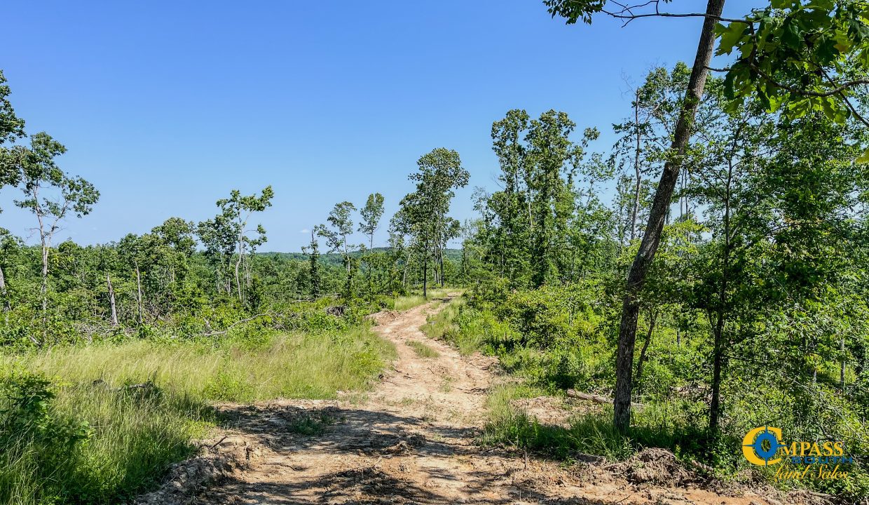 Waverly Tract TN Land for Sale-5