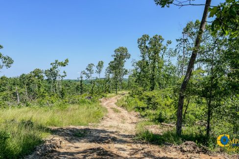 Waverly Tract TN Land for Sale-5
