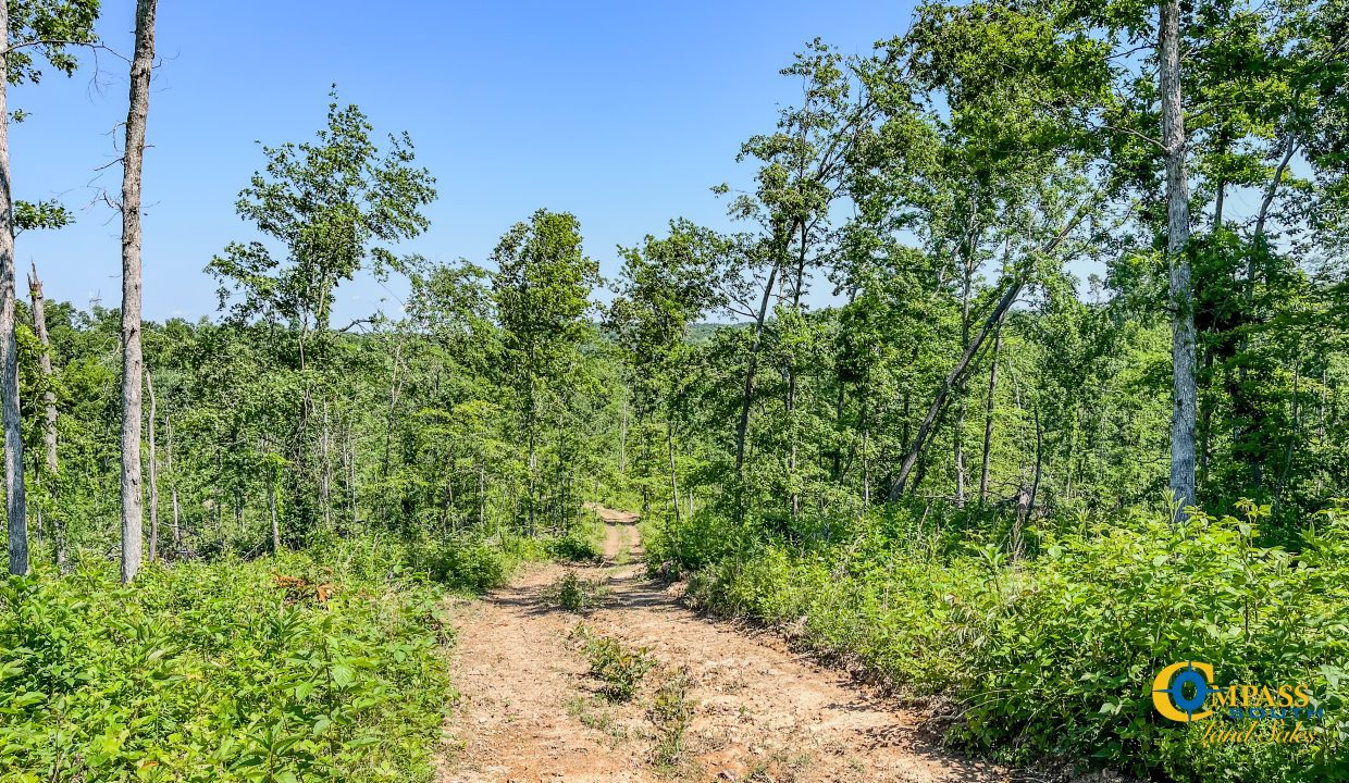 Waverly Tract TN Land for Sale-6