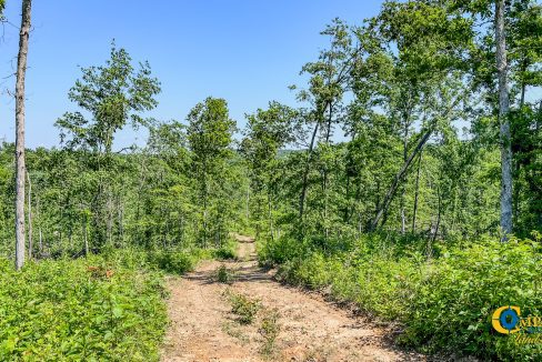 Waverly Tract TN Land for Sale-6