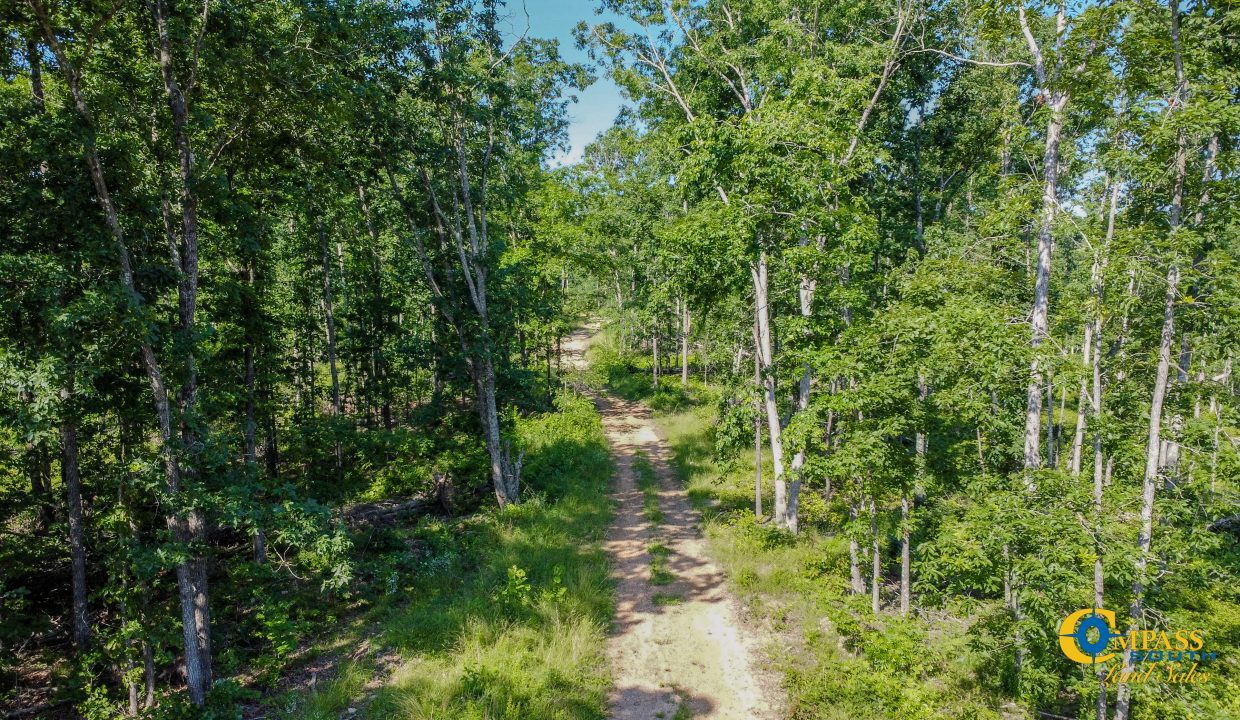 Waverly Tract TN Land for Sale