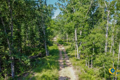 Waverly Tract TN Land for Sale