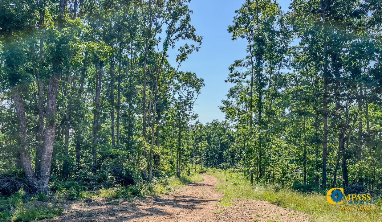 Waverly Tract TN Land for Sale-13