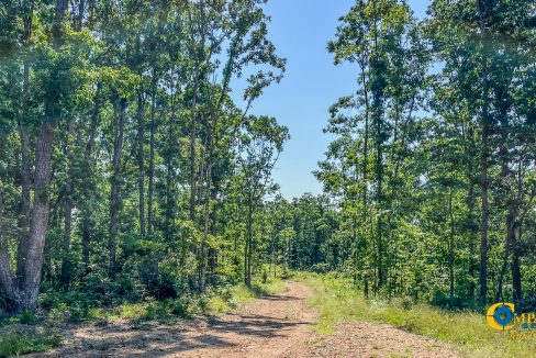 Waverly Tract TN Land for Sale-13