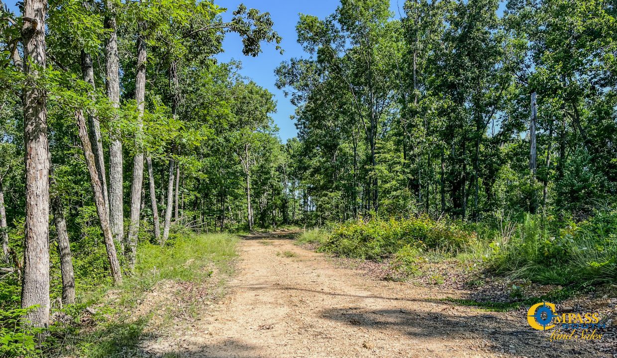 Waverly Tract TN Land for Sale-14