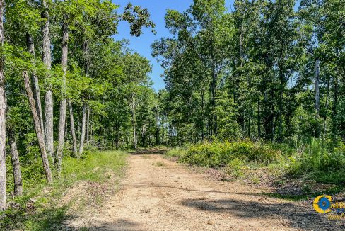 Waverly Tract TN Land for Sale-14