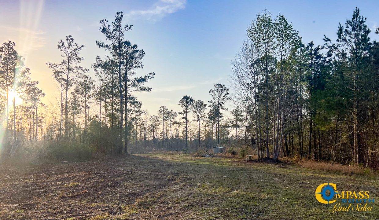 White Pond Ridge Estate SC Land for Sale-28