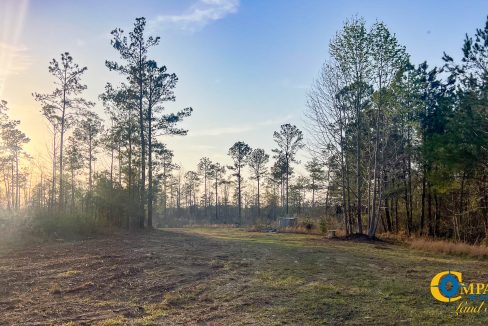 White Pond Ridge Estate SC Land for Sale-28