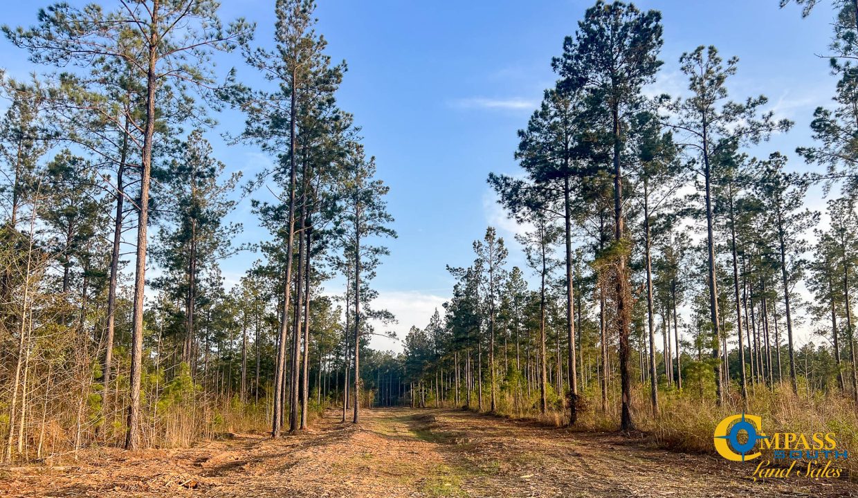White Pond Ridge Estate SC Land for Sale-29