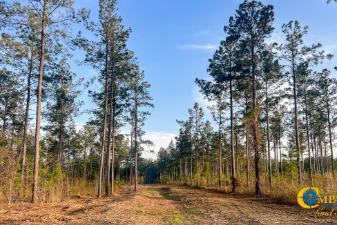 White Pond Ridge Estate SC Land for Sale-29