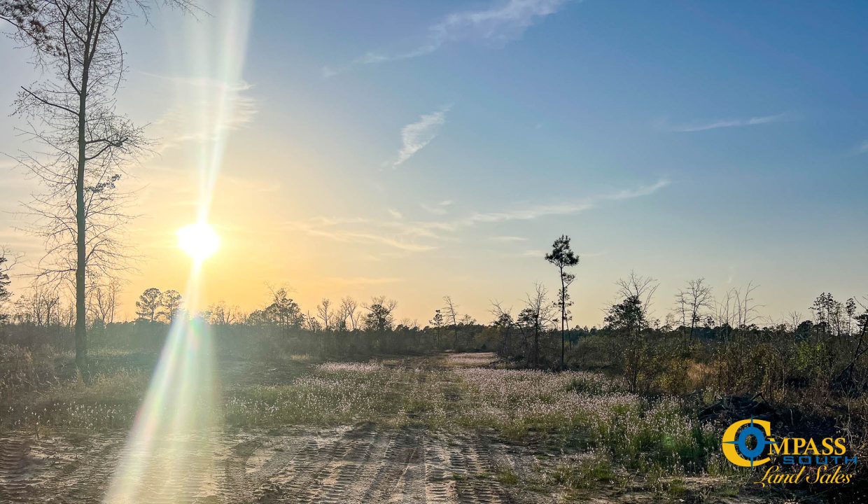 White Pond Ridge Estate SC Land for Sale-30